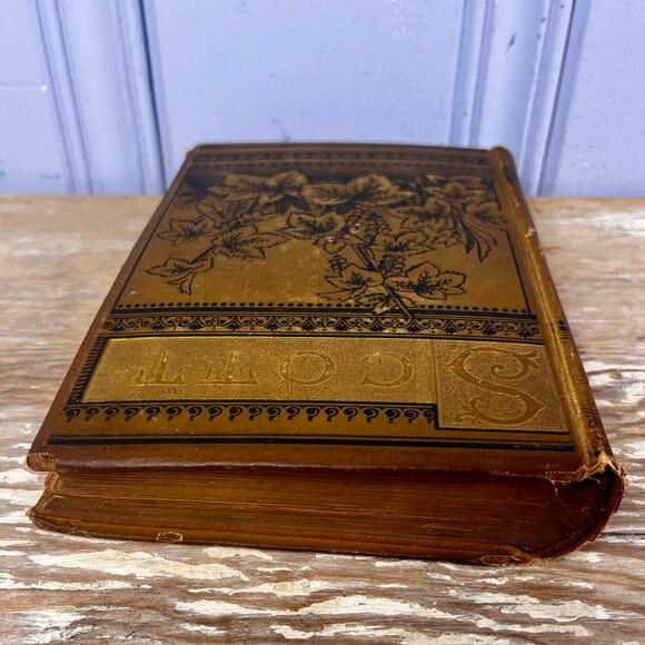 Antique Sir Walter Scott Poetical Works Illustrated Poetry Book Late 1800s HB - Picture 5 of 16